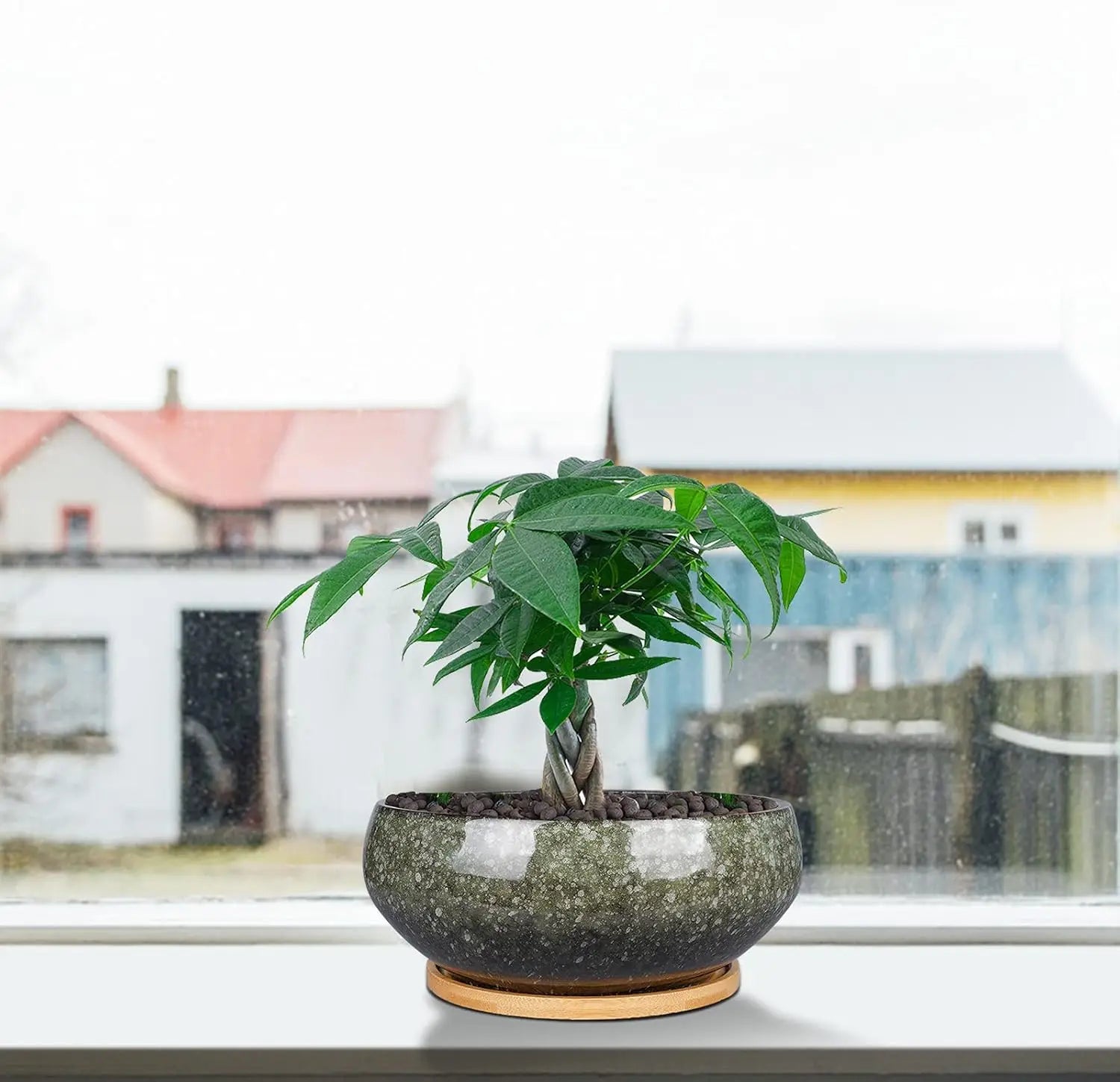 8 Inch Glazed Ceramic Bonsai Pot with Drainage Hole and Bamboo Saucer for Succulents, Indoor Plants