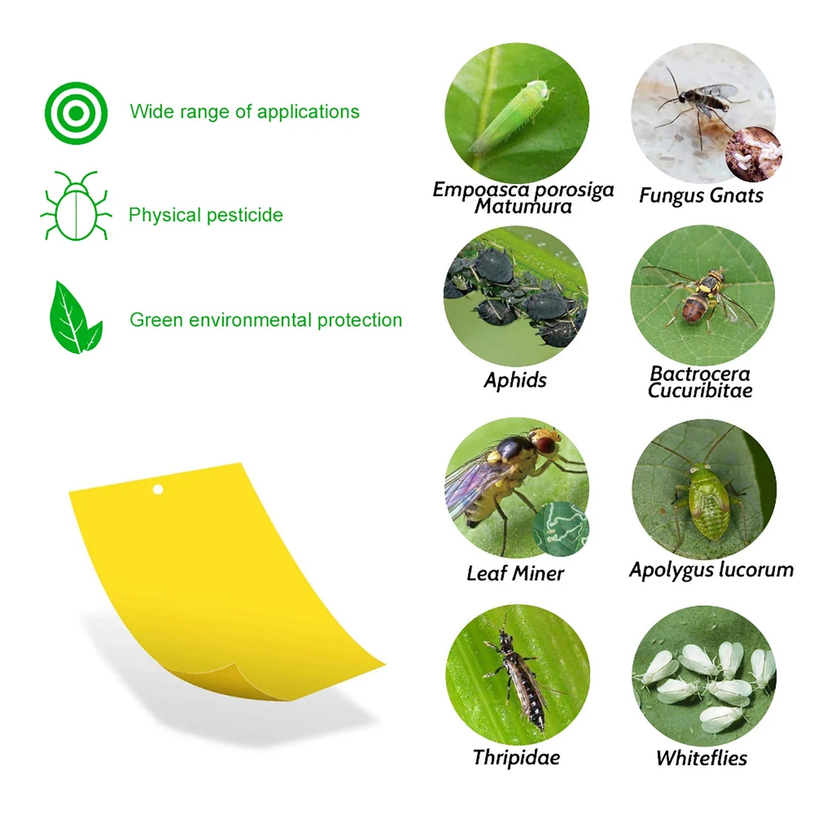 20-200PCS Fly Stickers Outdoor Plant Insect Catcher Fly Trap Double Sided Sticky Traps for Bugs Mosquito Trap Sticky Board