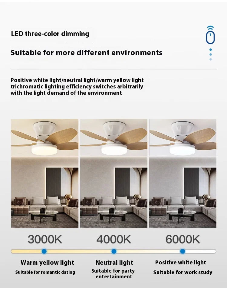 25 inch Ceiling Fans with Lights and Remote,Flush Mount Ceiling Fan,Reversible Quiet DC Motor Low Profile Ceiling Fans For Livin